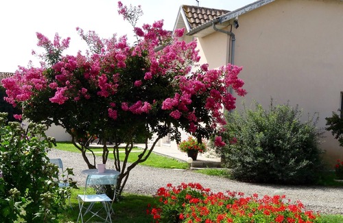 Artagnan Cottage | 3-key and 3 ⭐️⭐️⭐️pour classified country house for a relaxing vacation!
