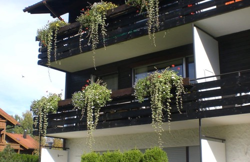 Obermaiselstein Apartment | 3-room apartment with a beautiful south-west facing balcony and swimming pool/sauna