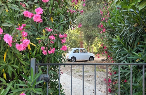 Le Plan-de-Grasse Apartment | 3-room apartment on 1st floor of a "bastide grassoise" in a private estate with swimming pool