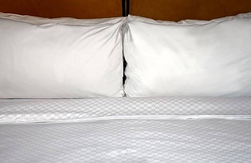 Plainview Hotel | 3-Star Hotel ∙ Four Points by Sheraton Melville Long Island