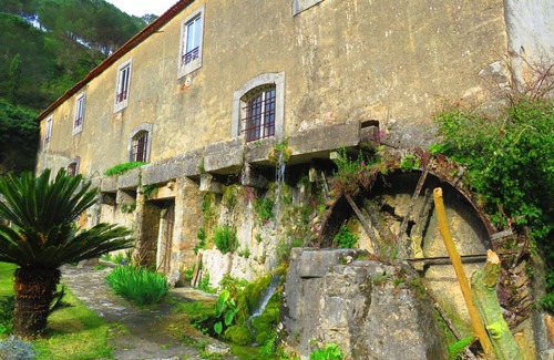 Sao Joao Batista House | 30 m² House ∙ 1 bedroom ∙ 2 guests