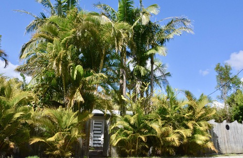 Wardell House | 30min from Byron Bay & 5min to unspoilt beach - Tranquility at Paradise Palms!