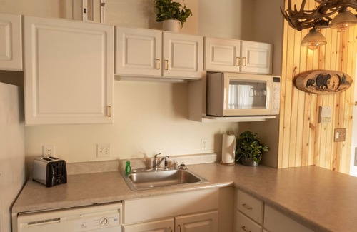 Delavan Lake Condo | 330 - Log Cabin Style One Bedroom Condo Suite w/2 Queens