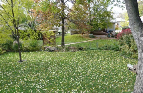 South Central Omaha House | 34% Off starting 28 nights for this Darling Home On Quiet Street