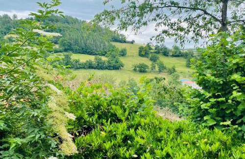 Saint-Galmier Apartment | 35 m² Apartment ∙ 1 bedroom ∙ 4 guests