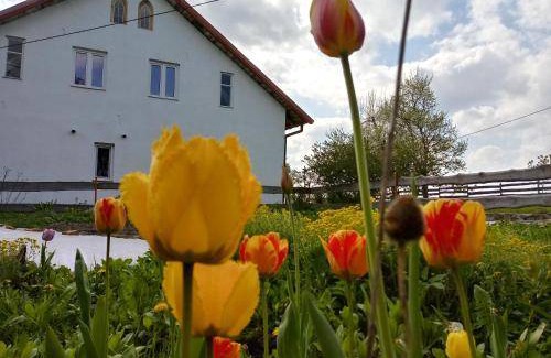 Blanki House | 35 m² Farmhouse ∙ 4 guests