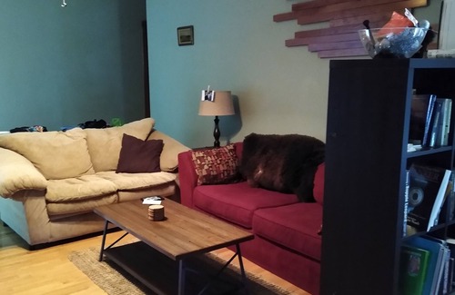 Montview Harbor House | 3BR 2.5Bath at Lake Travis