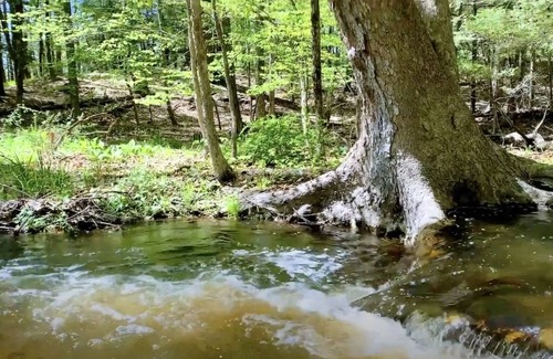 Rhinebeck Cottage | 3Br escape set on winding creek in 130acre forest