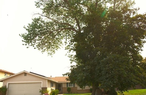 Reno Condo | 3BR2BA CONDO