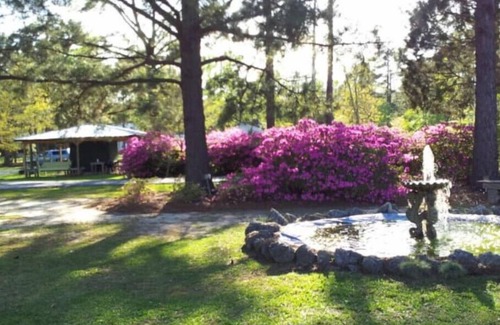 Hubert House | 3miles to Hammocks beach state park, Swansboro, Lejeune on private 22 acresn