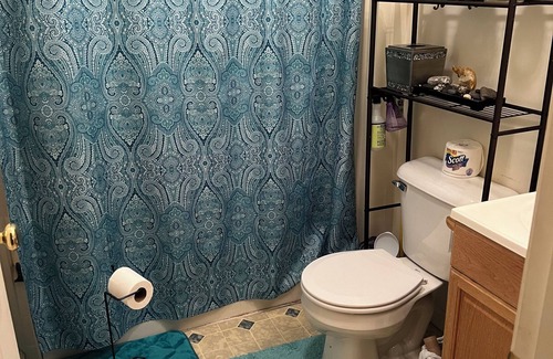 Hampden Apartment | 4:20 Friendly room in cozy apartment close to downtown Bangor.