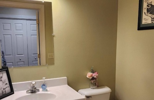 Selinsgrove House | 4/3.5 country home 5 minutes from town. Bring your family and enjoy!
