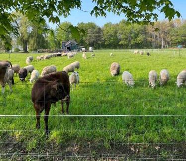 Tillsonburg Apartment | 4 bedroom apartment on 75 acre farm