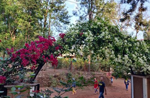 Mahabaleshwar Villa | 4 bhk spacious bungalow