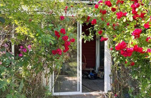 Arsta Havsbad House | 4 person holiday home in ÅRSTA HAVSBAD