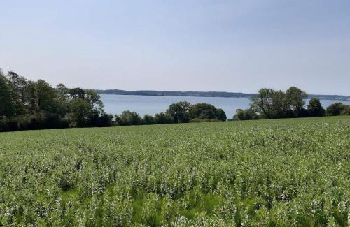 Aabenraa House | 4 person holiday home in Aabenraa-By Traum