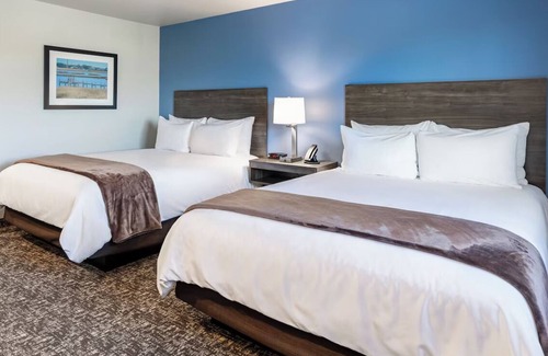Mitchell Hotel | 4 Spacious Studios for Families and Pet Owners – with Fully Equipped Kitchen!
