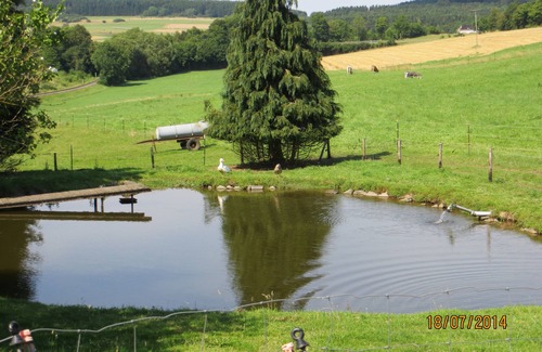 Hohenfels-Essingen House | 4 star holiday apartments in the heart of the Eifel