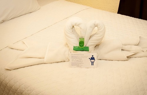 Downtown Cancun Hotel | 4 Units | City & Beach Getaway | Poolside Stay Near Hotel Zone & Local Markets