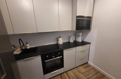 Zabrze Apartment | 40 m² Apartment ∙ 1 bedroom ∙ 4 guests