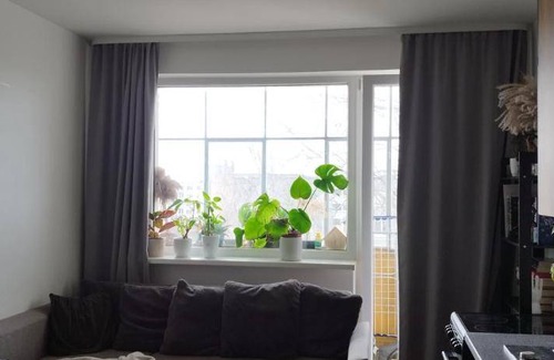 Mazeikiai Apartment | 40 m² Apartment ∙ 1 bedroom ∙ 4 guests