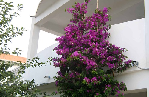 Rtina Apartment | 40 m² Apartment ∙ 2 bedrooms ∙ 4 guests