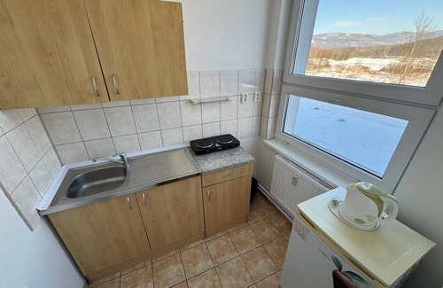 Usti nad Labem Apartment | 40 m² Serviced apartment ∙ 5 guests