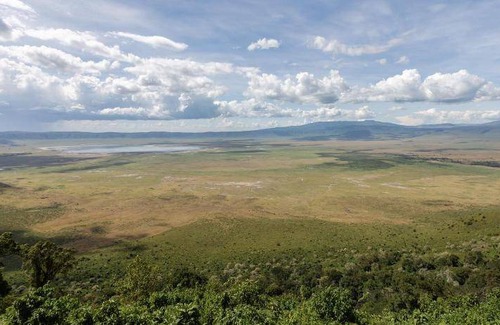 Ngorongoro Conservation Area Hotel | 400 m² Hotel ∙ 11 guests