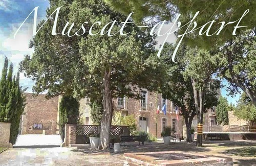 Baixas Apartment | 40m2 T2 apartment Small medieval village in the heart of the Roussillon vineyards