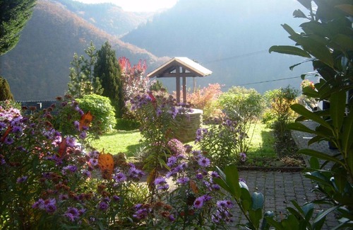 Waldbreitbach Apartment | 42 m² Apartment ∙ 1 bedroom ∙ 4 guests