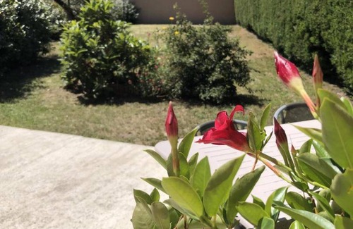 Buis-les-Baronnies House | 43 m² Gîte ∙ 1 bedroom ∙ 2 guests