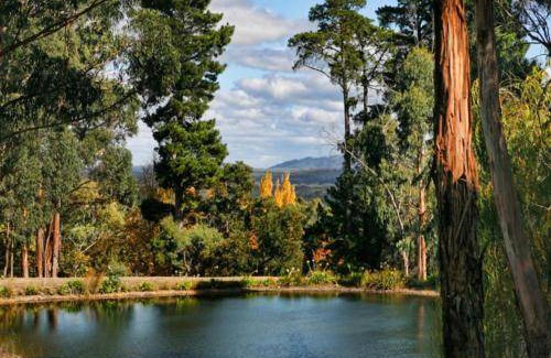 Mount Macedon House | 43 m² House ∙ 1 bedroom ∙ 2 guests