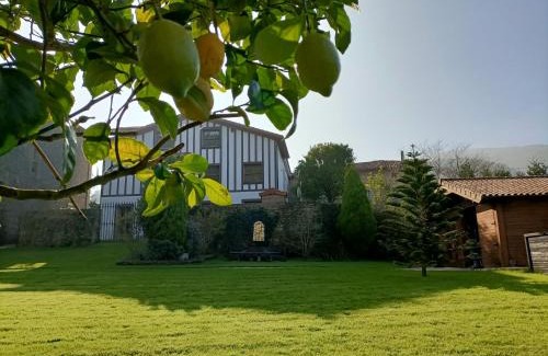 Otanes Apartment | 43A Nature with parking by Aston Rentals