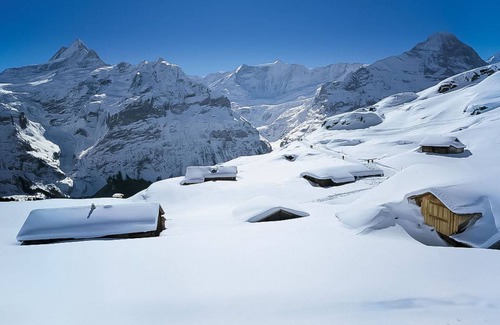 Grindelwald Apartment | 44 m² Apartment ∙ 1 bedroom ∙ 2 guests