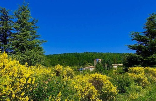 Ferrassieres Apartment | 45 m² Apartment ∙ 1 bedroom ∙ 2 guests