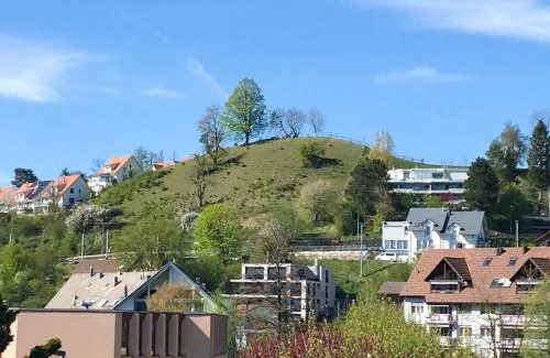 Dietikon District Apartment | 45 m² Apartment ∙ 2 bedrooms ∙ 4 guests