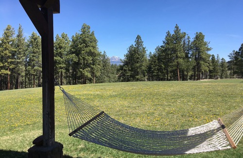Pagosa Springs House | 450 Private Acres with 3/4 Miles of River! Ponds, Forest, Fishing, Hiking!
