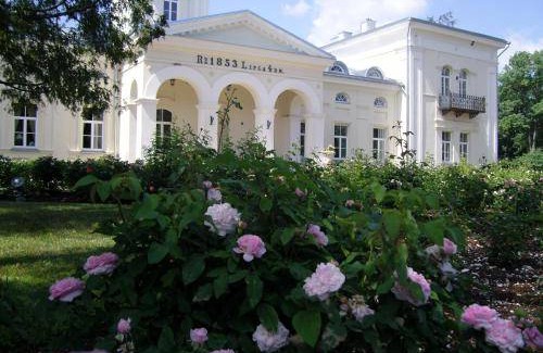 Bicionys Hotel | 46 m² Hotel ∙ 4 guests