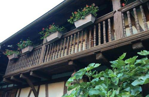 Eckwersheim Apartment | 47 m² Apartment ∙ 1 bedroom ∙ 4 guests