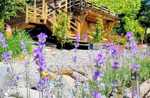 Avrig Cabin | 479 Tiny House, Domeniul von Agodt with beautiful mountain view