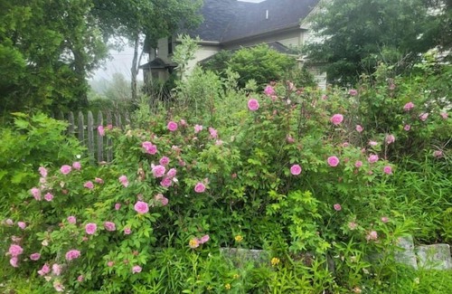 Bucksport House | 4Br Farmhouse @The Narramissic Manor with Sunrise views of Great Pond Mountain