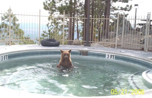 Tahoe Village Condo | 4th of July WEEK at the RIDGE in South Lake Tahoe!nJune 28-July 5 2024