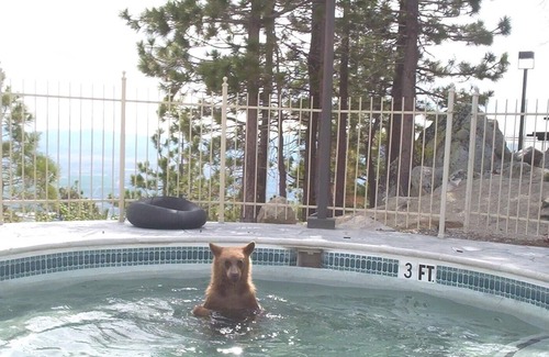Tahoe Village Condo | 4th of July WEEK at the RIDGE in South Lake Tahoe!nJune 28-July 5 2024