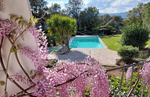 Sa Castangia Villa | 5 Bedroom Villa in Sant'Antonio di Gallura