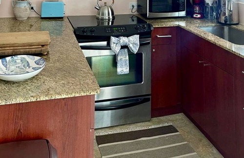 Puerta de Tierra Condo | 5 min walk to a beautiful beach and a big shady park! 25min walk to Old San Juan