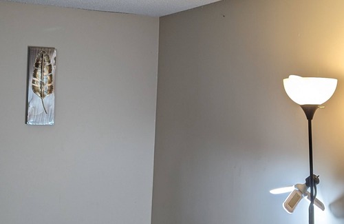 Savoy Apartment | 5 minutes away from Campus and Statefarm Stadium, 2min away from Willard Airport