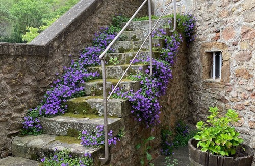 La Tour-Sur-Orb House | 5-room village house with swimming pool in the Haut Languedoc Regional Park