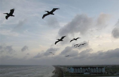 Galveston Condo | 5 star beachfront Family Friendly Penthouse!