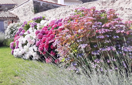 Chateau-Guibert Cottage | 5-star gîte in the heart of the Vendée