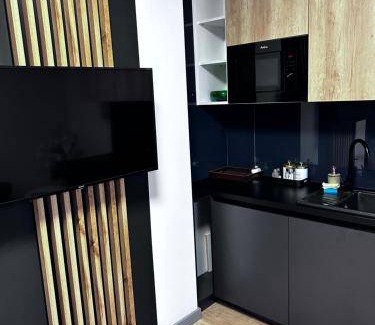 Gorzow Wielkopolski Apartment | 50 m² Apartment ∙ 1 bedroom ∙ 4 guests
